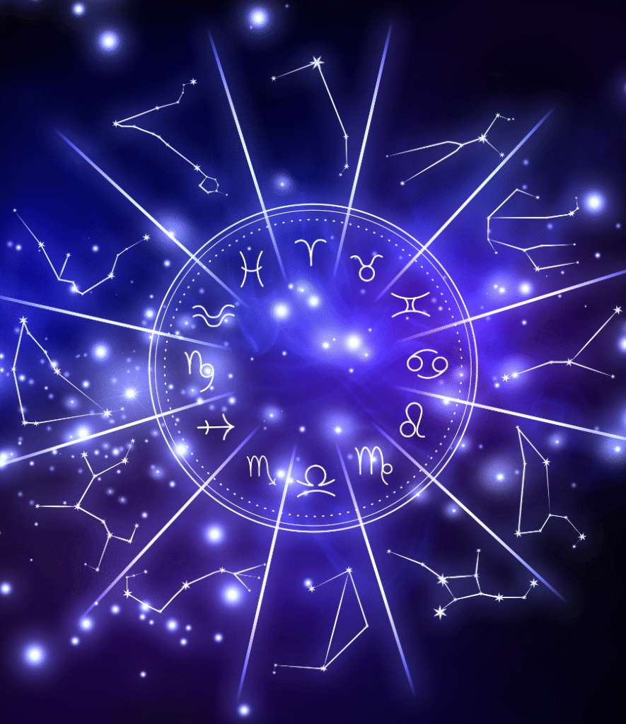 untitled design (81)